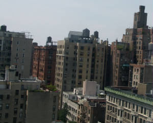 ny1.jpg